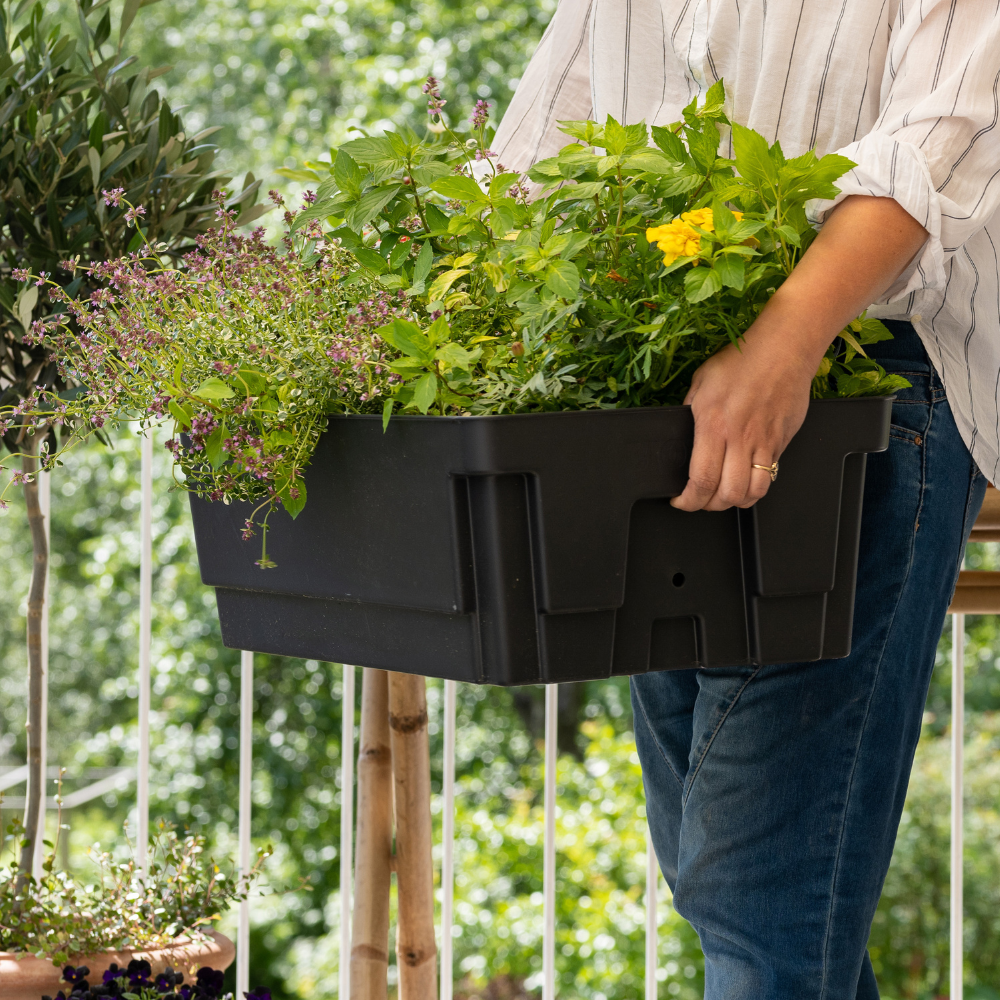Biolan Planter Kasvatusallas